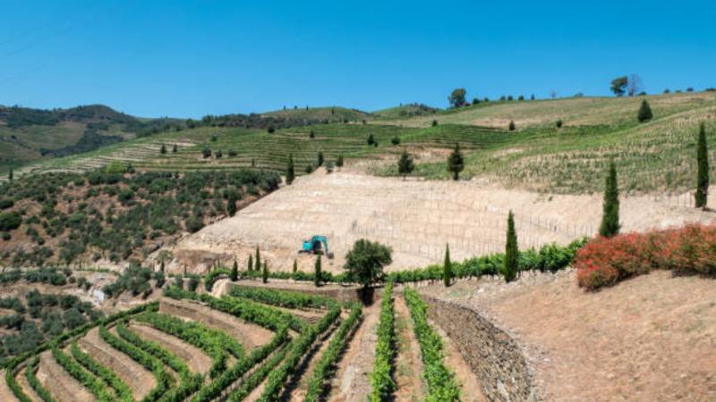 Como Escolher a Melhor Empresa de Terraplanagem para Sua Obra