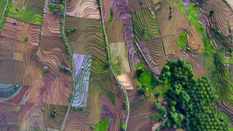 Topografia Rural: Como a Análise do Terreno Pode Transformar Seu Projeto Agrícola